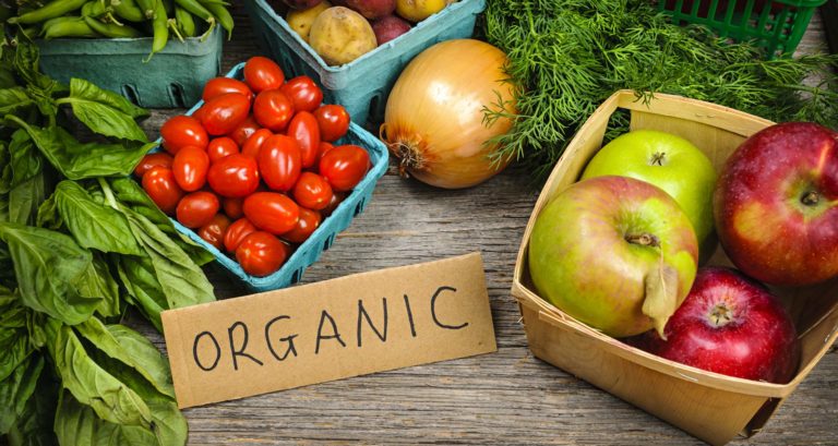 Cara Menanam Sayuran Organik