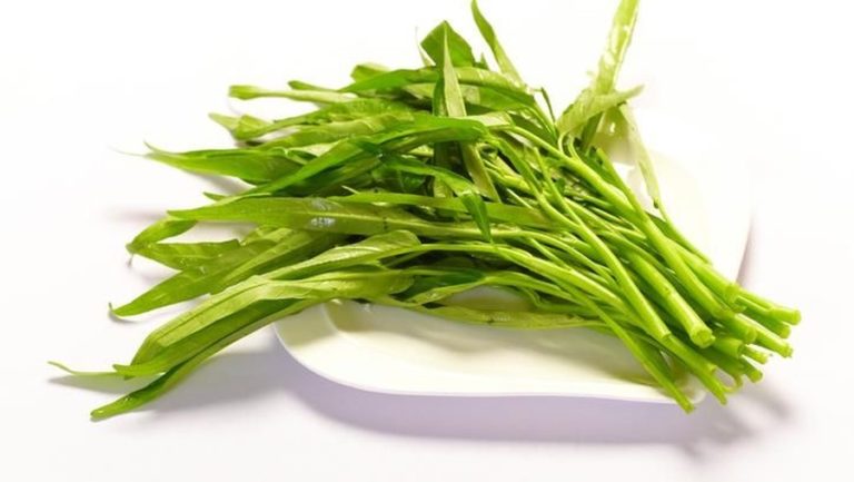 cara menanam kangkung