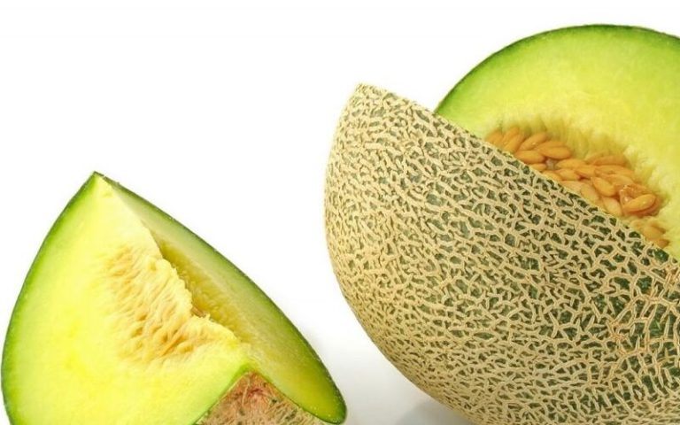 Cara Menanam Melon Yang Manis dan Bermanfaat Bagi Kita