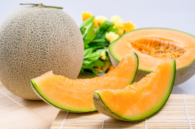 Cara Pemupukan Melon