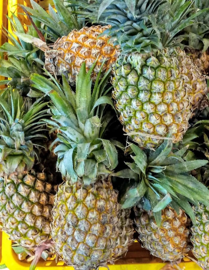 Cara Pemupukan Nanas