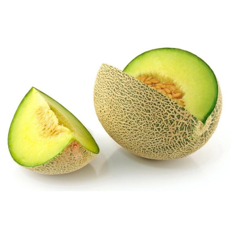 Cara Budidaya Melon