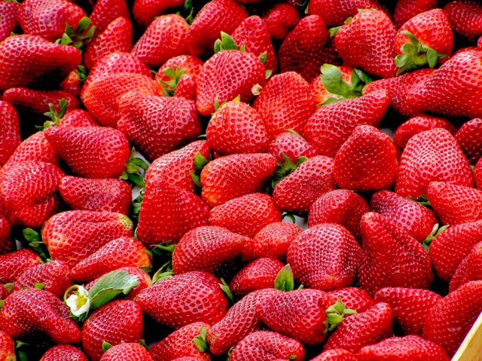 Manfaat Buah Strowberry