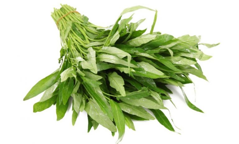 manfaat sayur kangkung