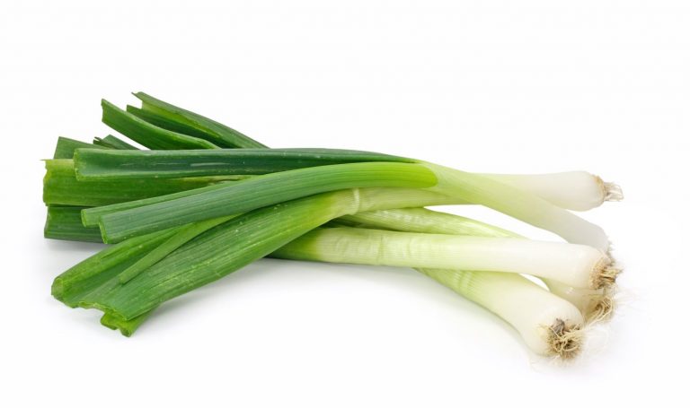 cara menanam daun bawang