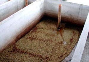 fermentasi