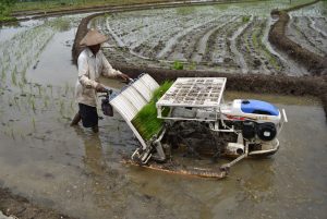 mesin pertanian