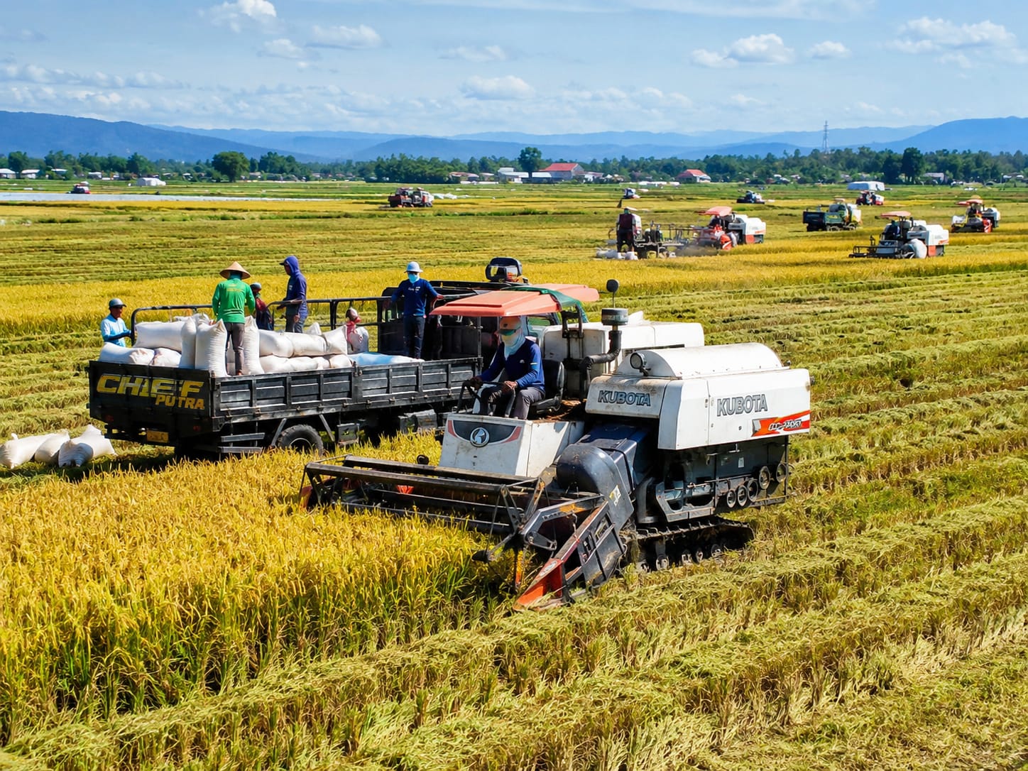 Solusi Panen Padi Skala Besar