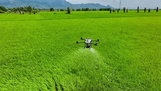 solusi penyemprotan pupuk lahan luas