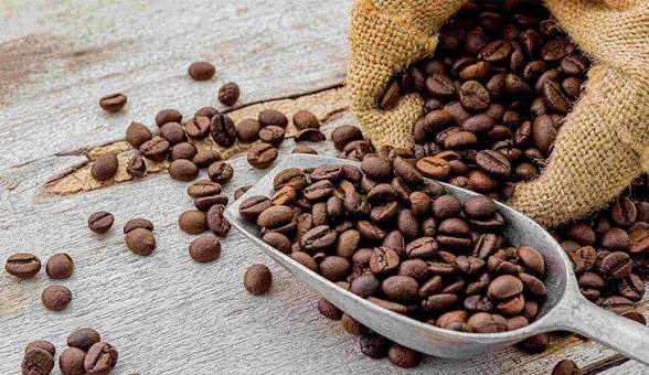 Cara Kerja Mesin Pengupas Kopi Basah, Pengolahan Biji Kopi