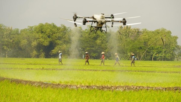 manfaat drone sprayer untuk petani